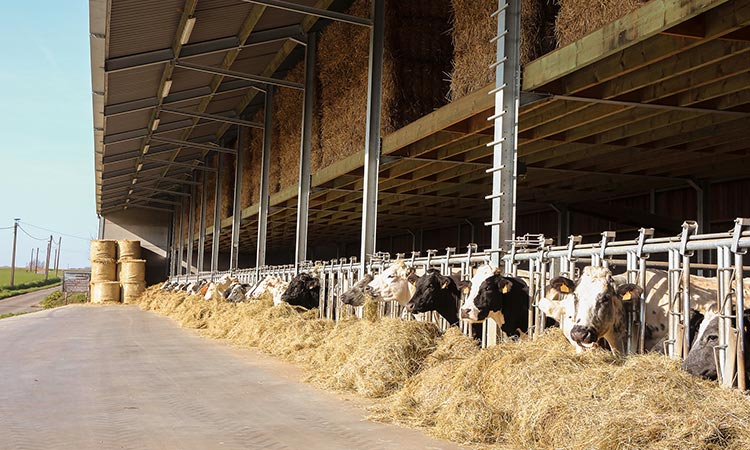 La Ferme du Bouret